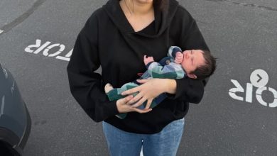 Is Kiyomi Vining Married? Biography, Age, Height: Family, Ethnicity, Husband, Kids, Children, Net Worth