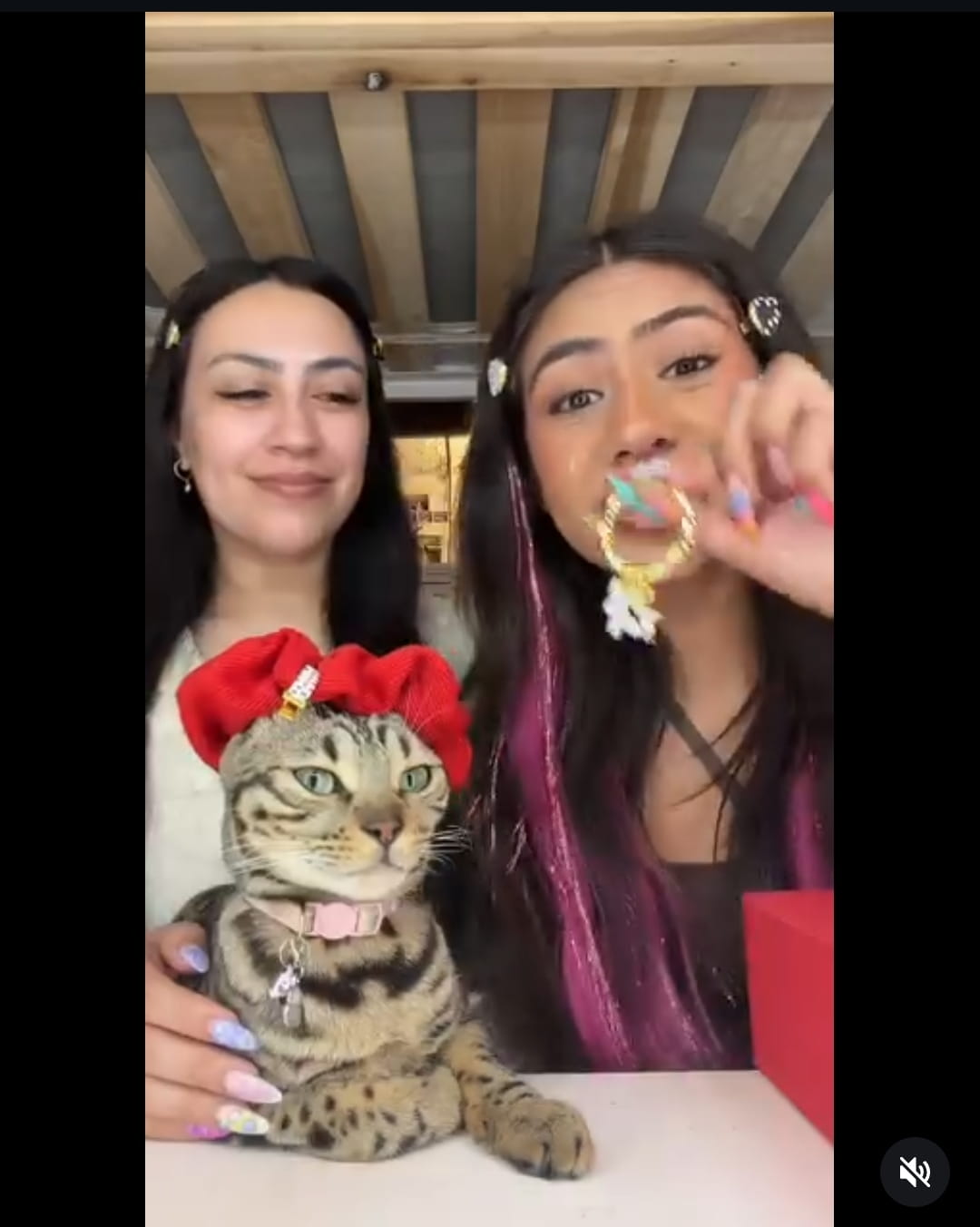 Image - AlyForLife, is pictured with her mother, and her pet cat, Jasper, back in early May 2026.
